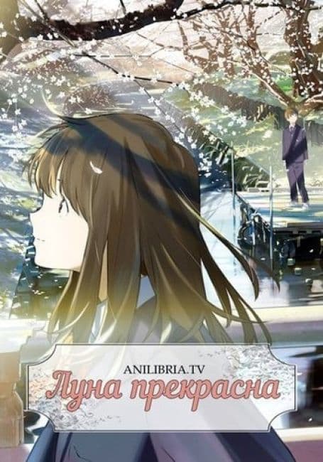 Постер аниме Луна прекрасна