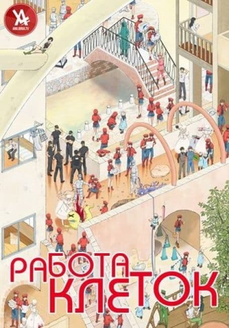 Постер аниме Работа клеток