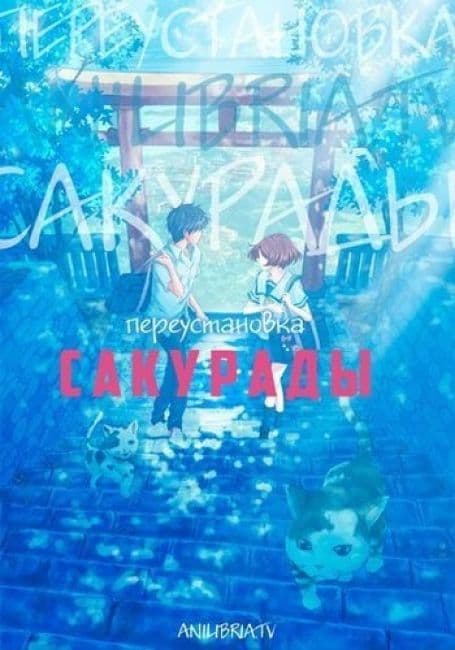 Постер аниме Переустановка Сакурады